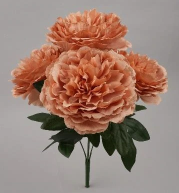 Peony Open Bunch * 5